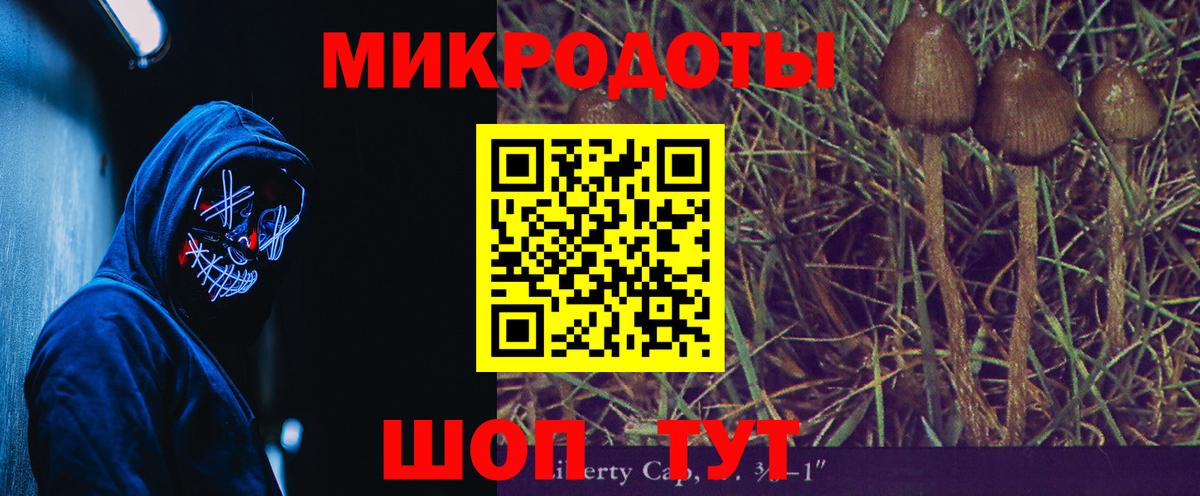Галлюциногенные грибы Cubensis  Вход с VPN  Лангепас 